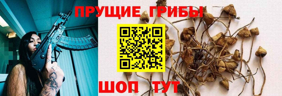 Галлюциногенные грибы мицелий  Вход с VPN  Кисловодск 